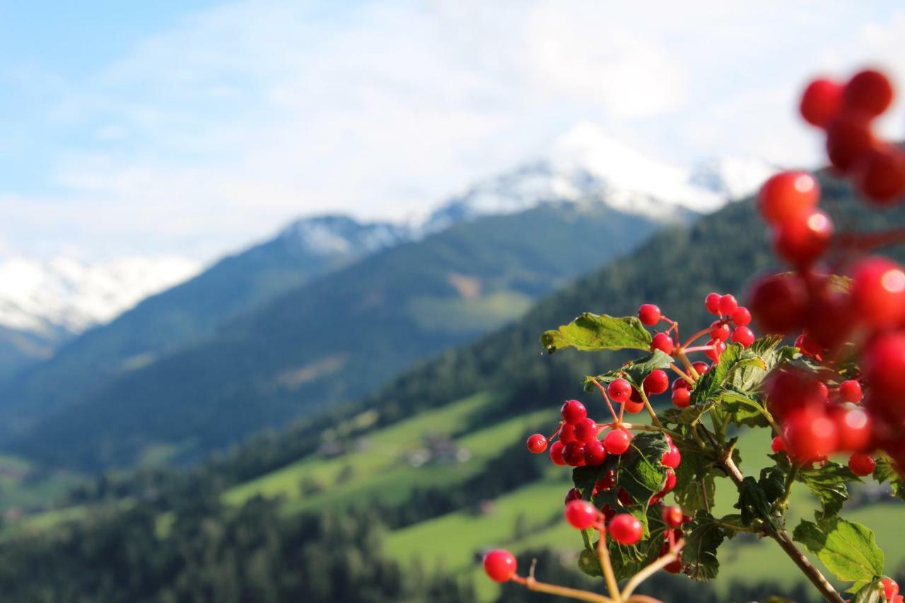 Moahof Apartment Alpbach Luaran gambar