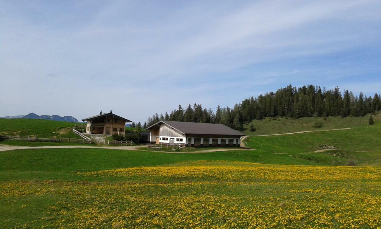 Moahof Apartment Alpbach Luaran gambar