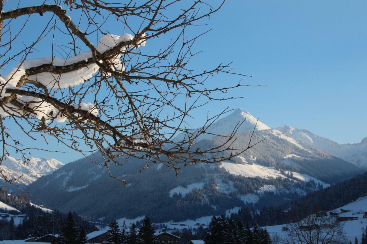 Moahof Apartment Alpbach Luaran gambar