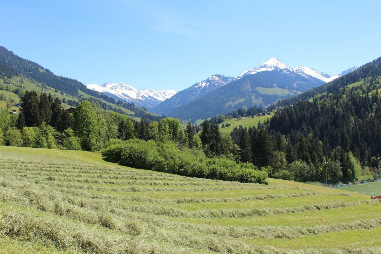 Moahof Apartment Alpbach Luaran gambar