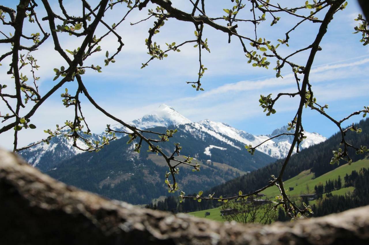 Moahof Apartment Alpbach Luaran gambar
