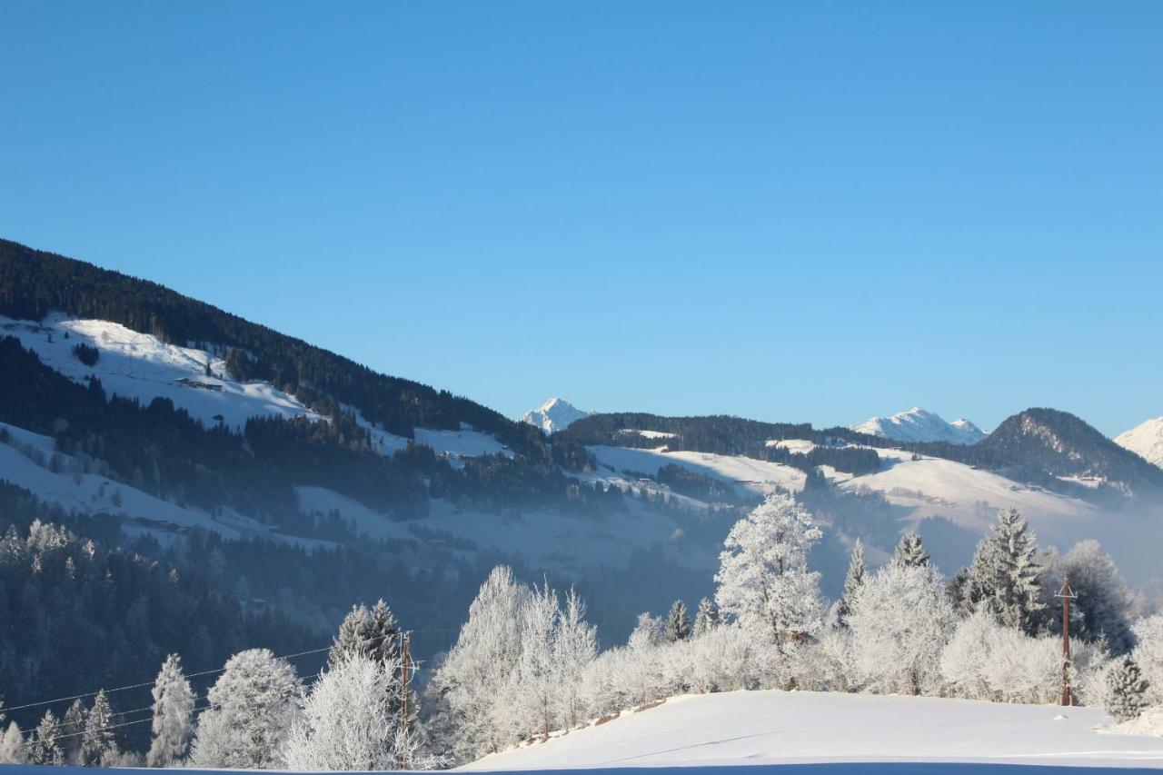 Moahof Apartment Alpbach Luaran gambar