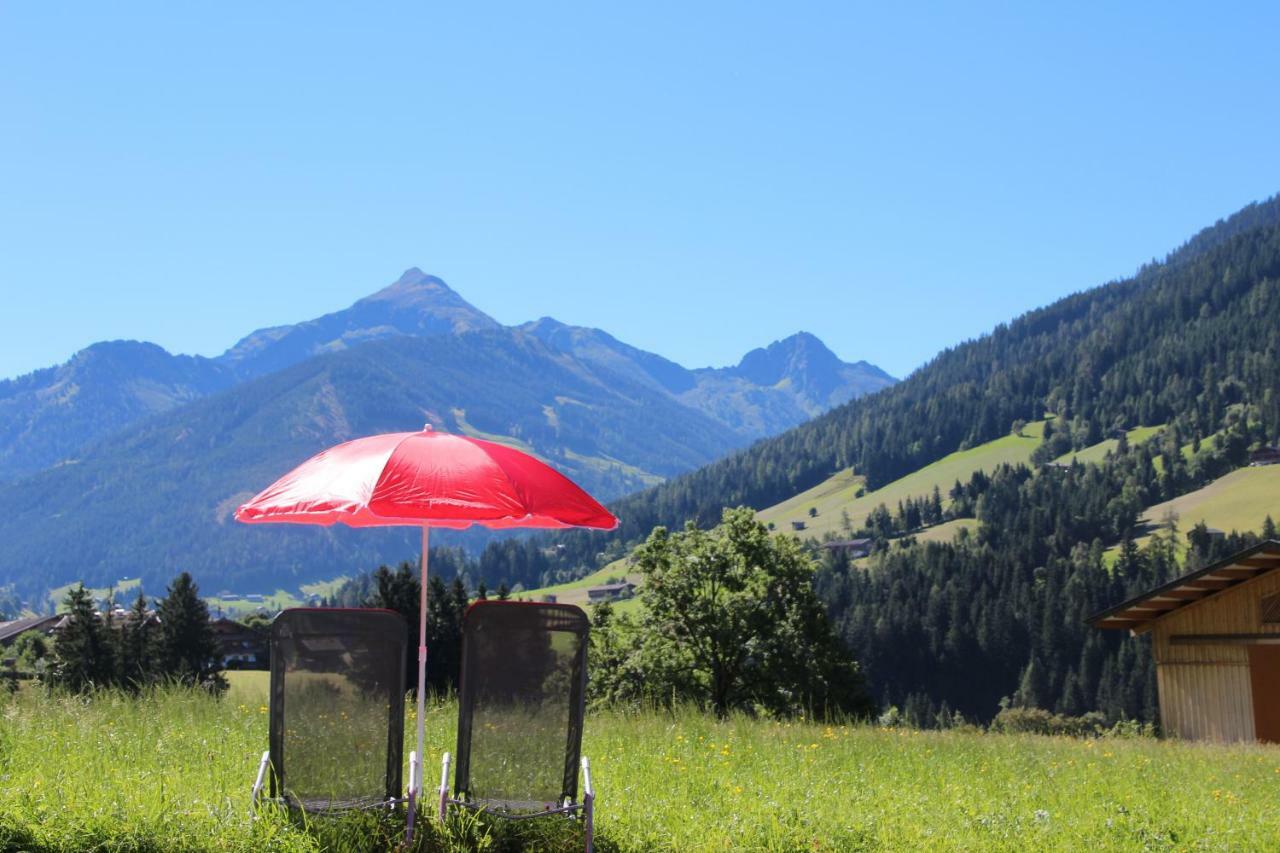 Moahof Apartment Alpbach Luaran gambar
